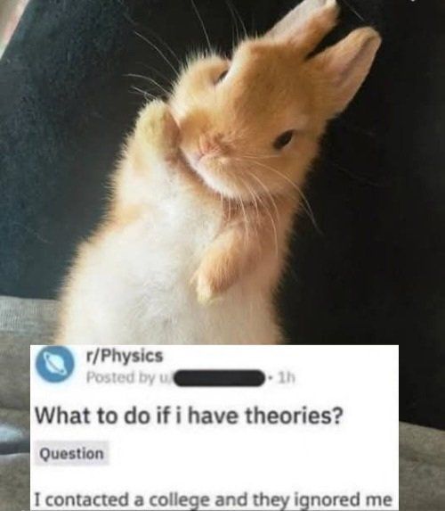 I wonder why