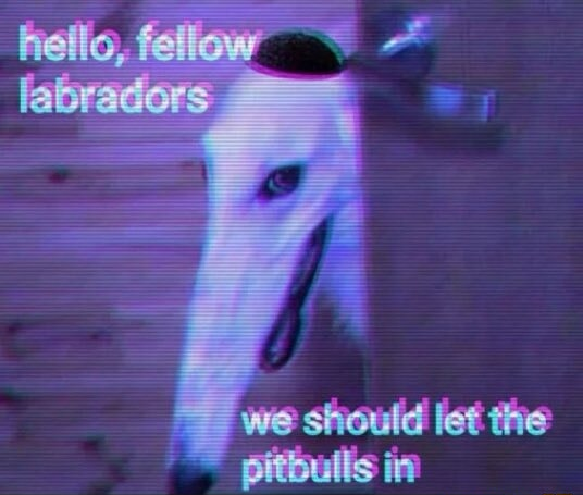 ​​​