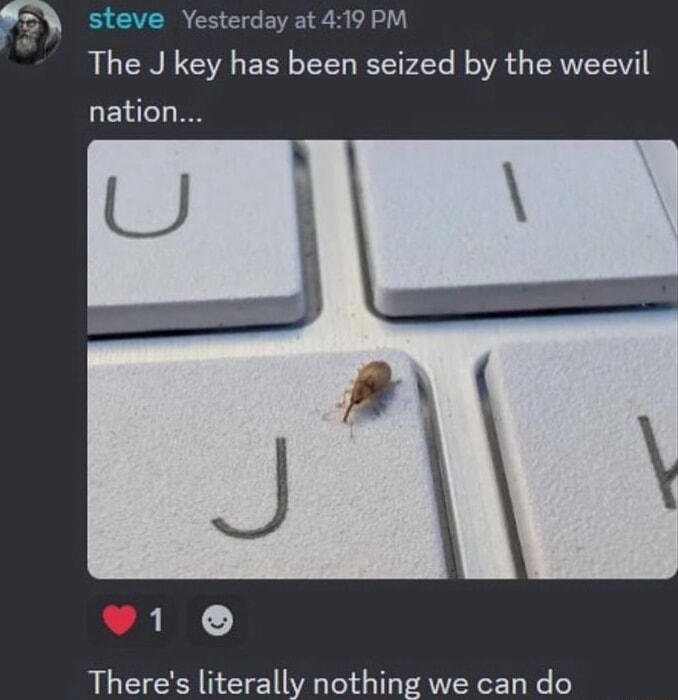 ​​​