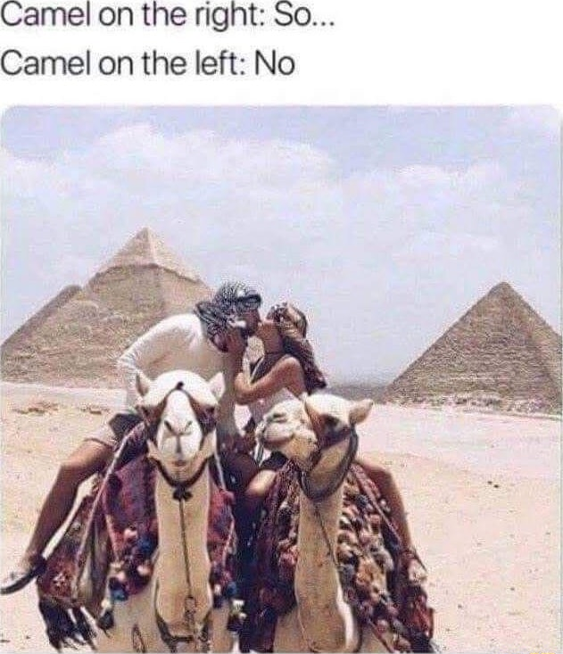 ​​​
