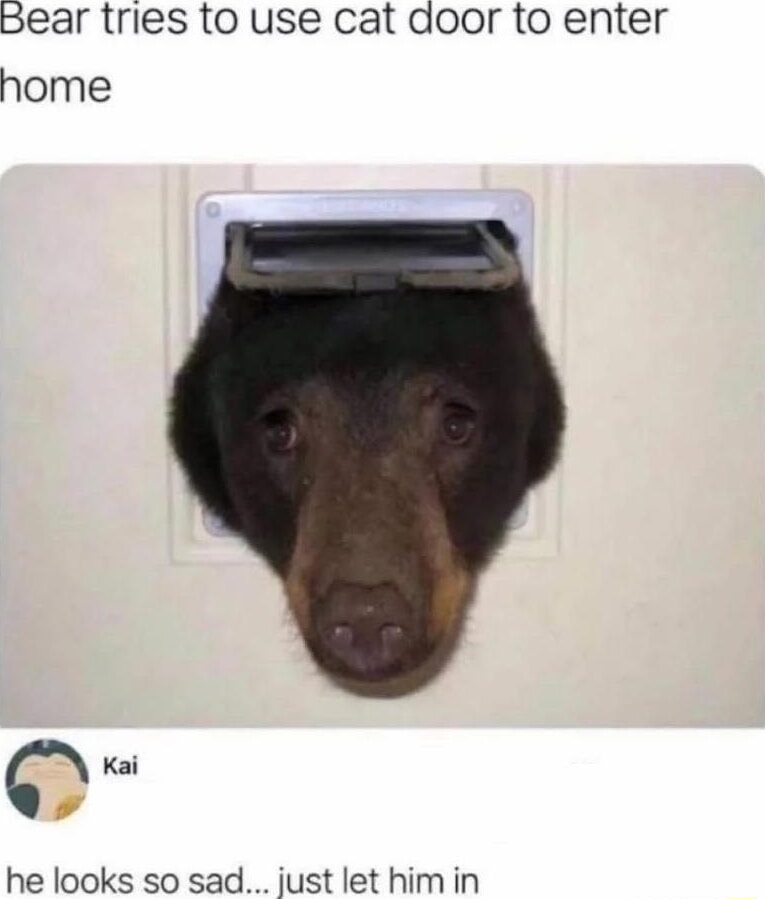 ​​​