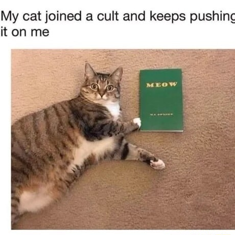 ​​​
