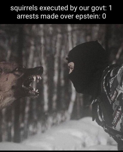 ​​​