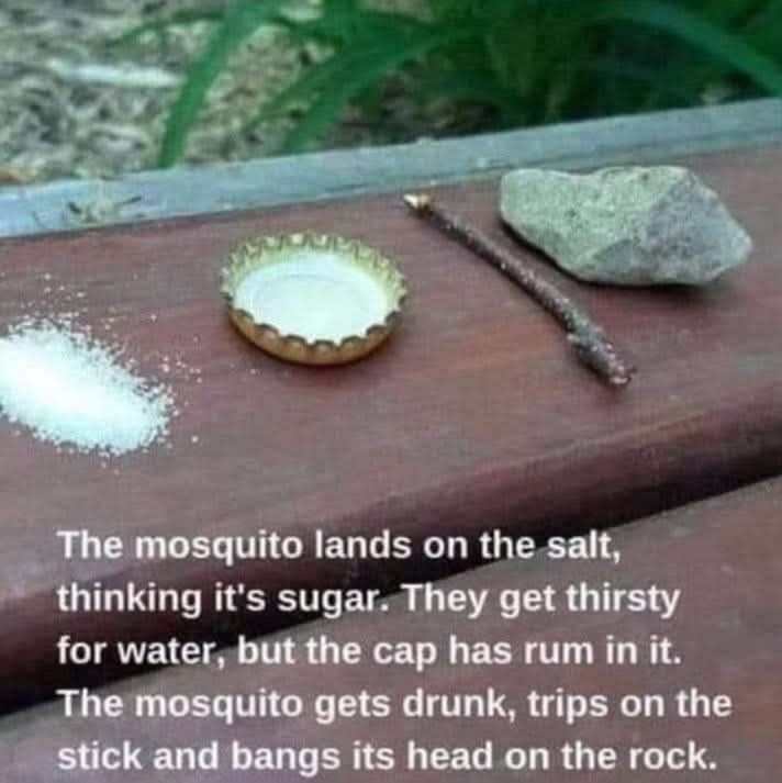 Budget mosquito trap