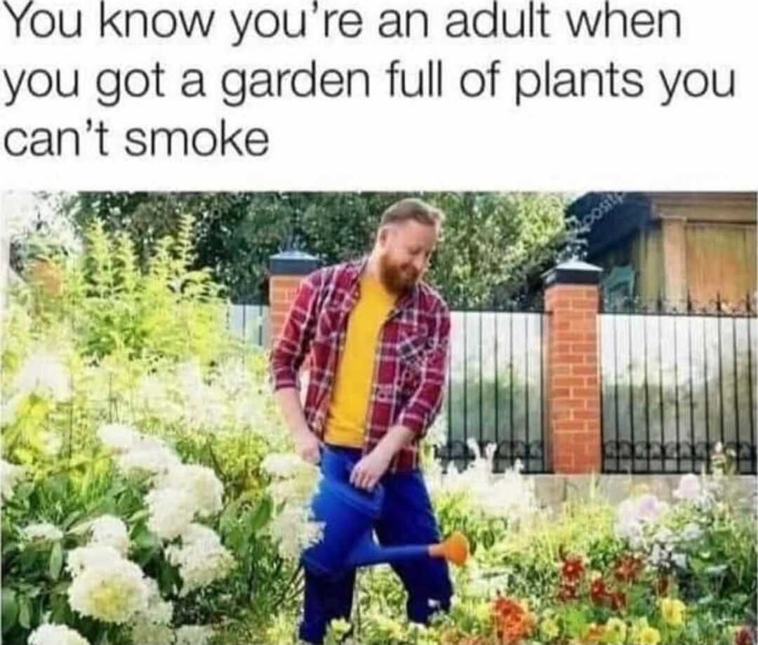 ​​​
