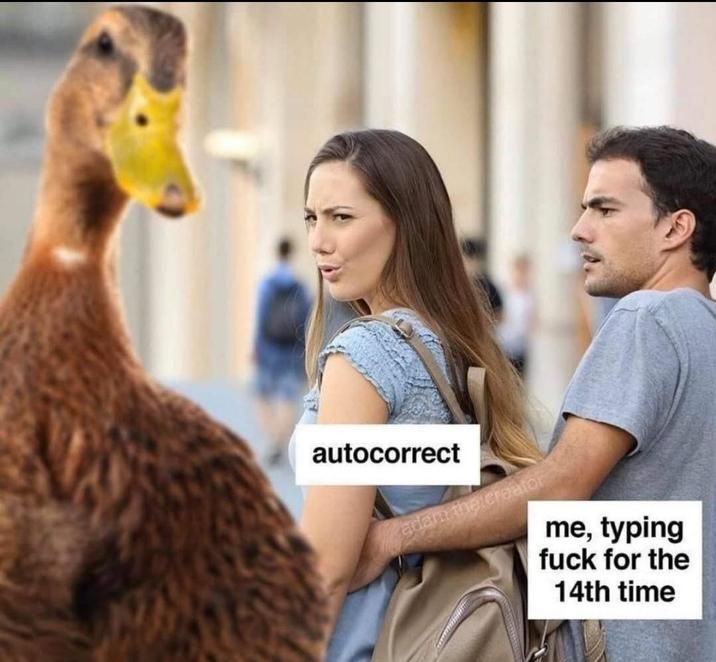 ​​​
