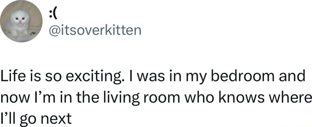 ​​​