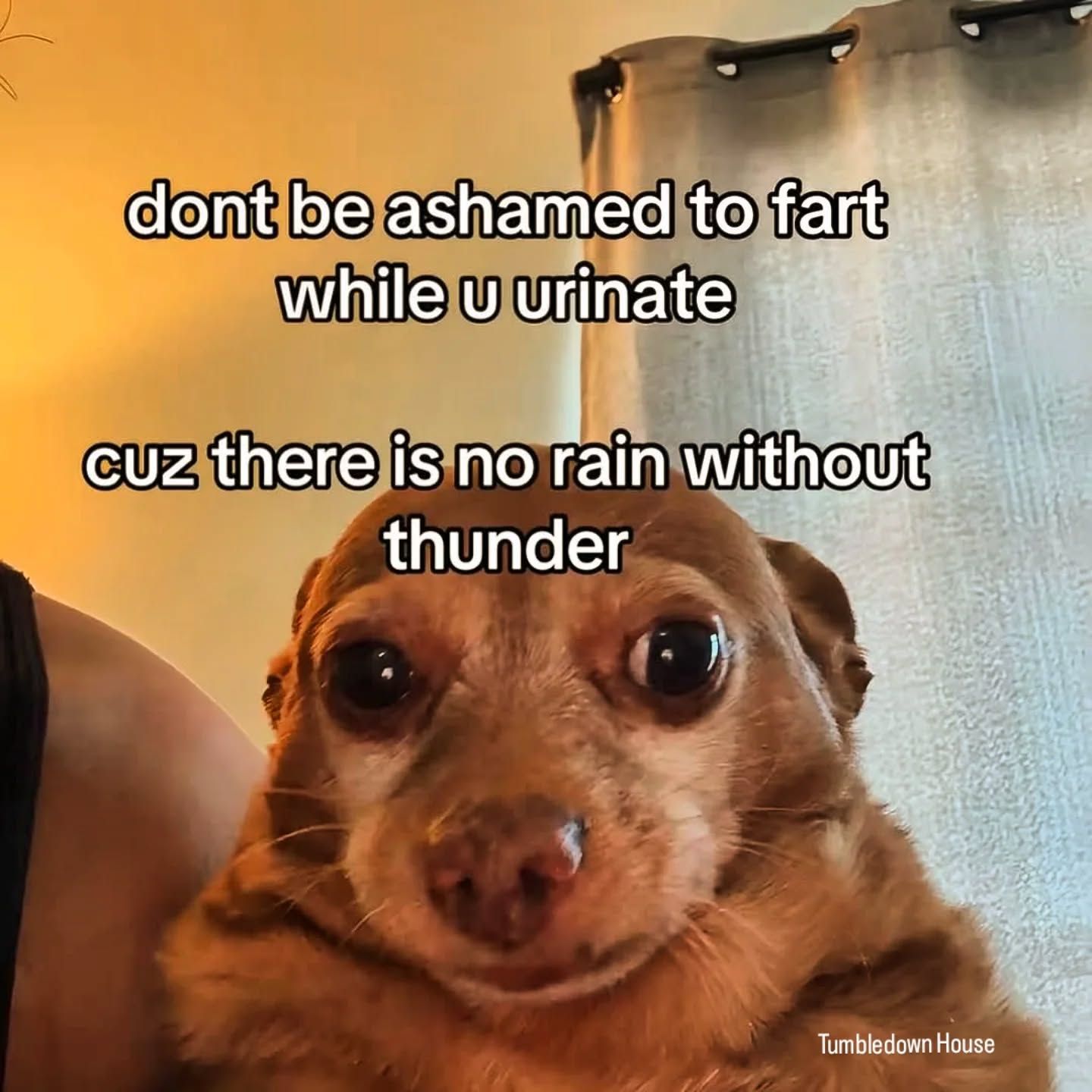 ...