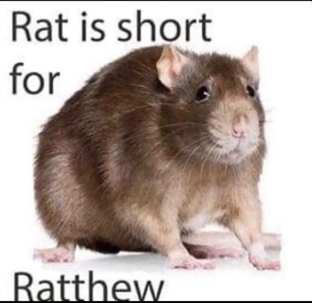 And Dog is short for Doggert