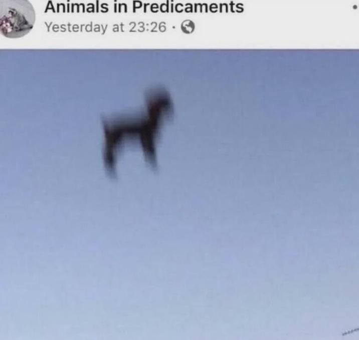​​​
