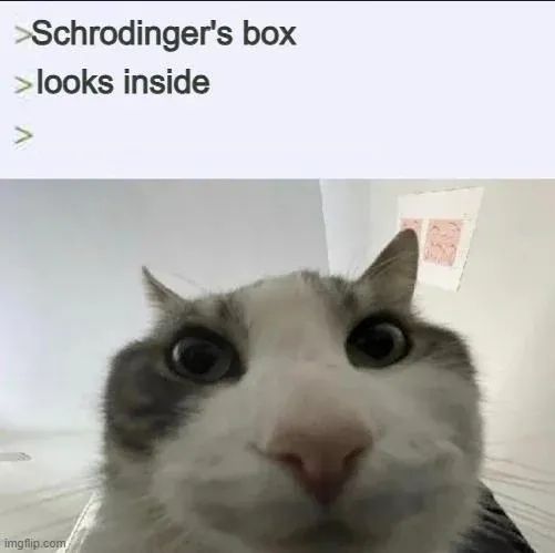 ‮