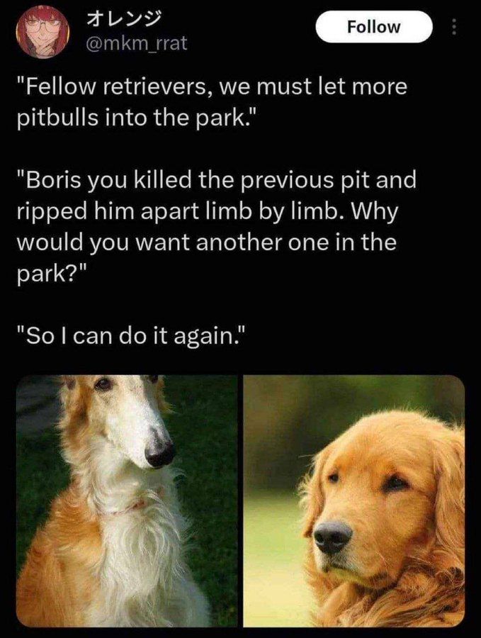 B O R Z O I S U P R E M A C Y