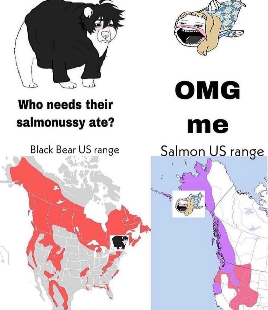 Woe upon whoever made that meme