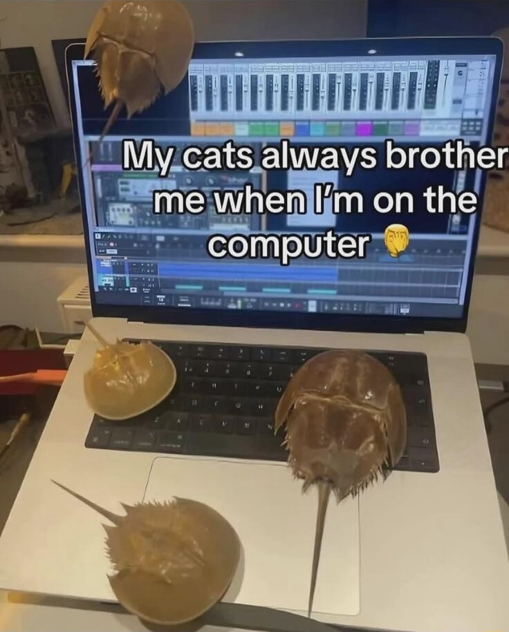 ​​​
