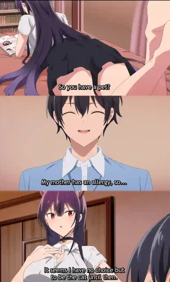 ​​​