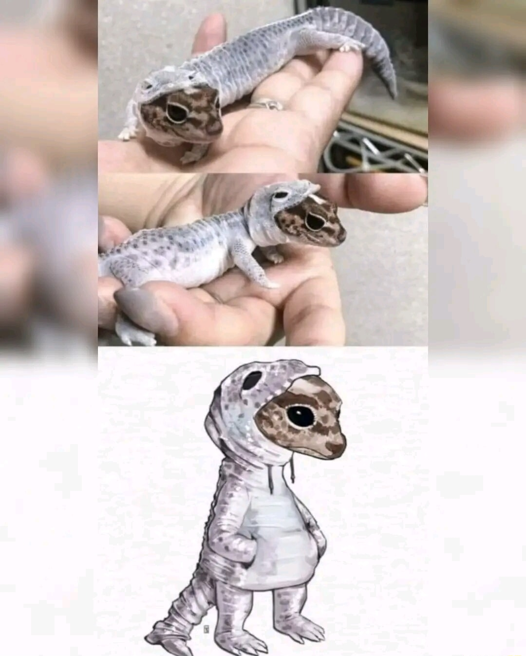 ​​​