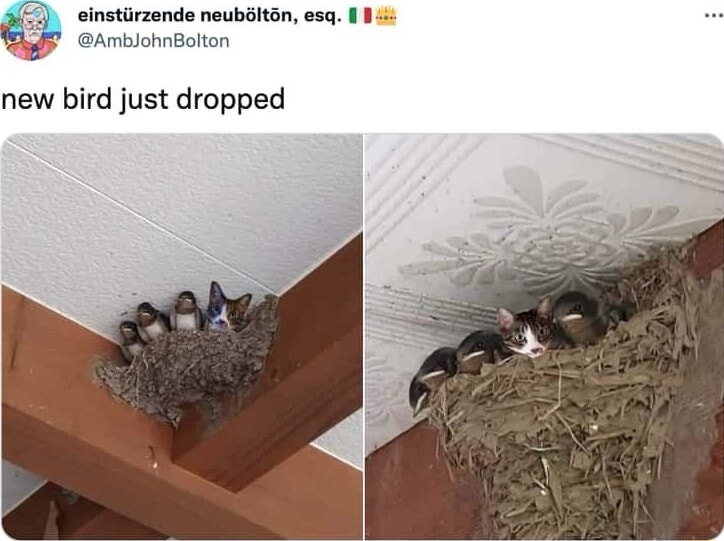 ​​​