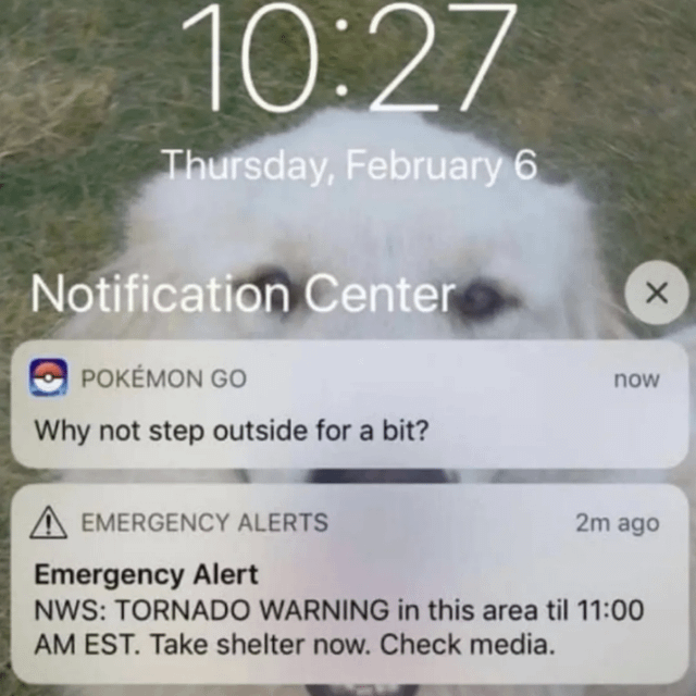 ​​​