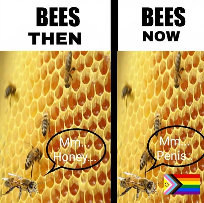 ​​​