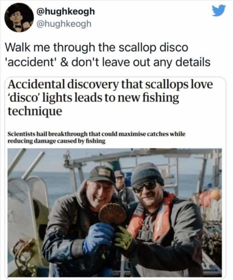 Audio, Video, Disco