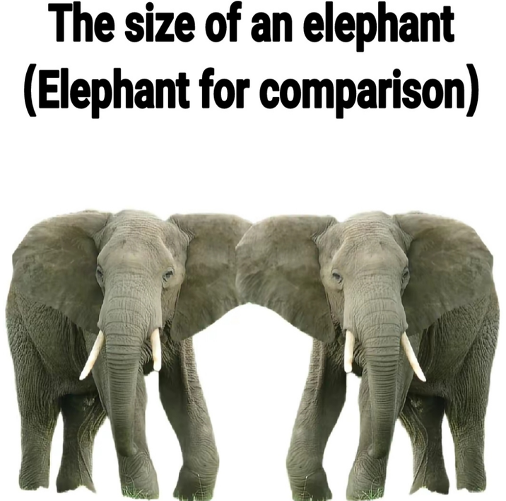 ​​​