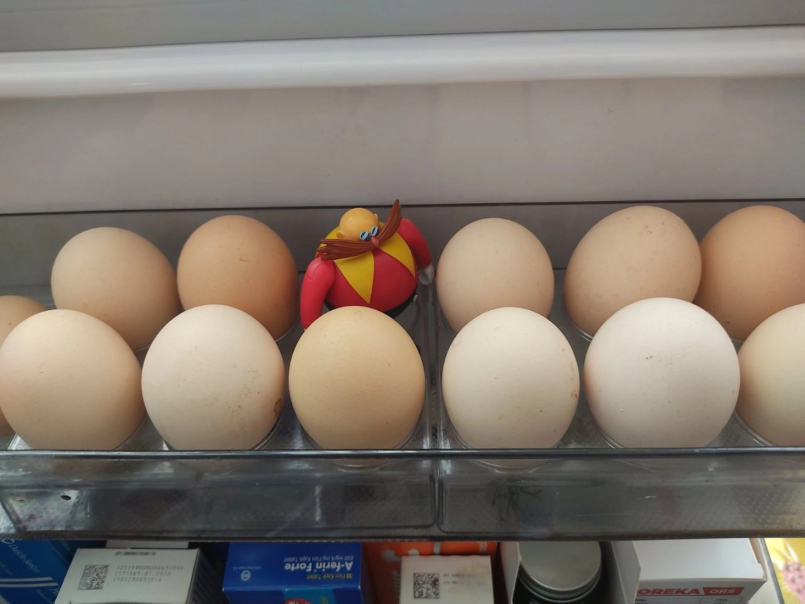 egg