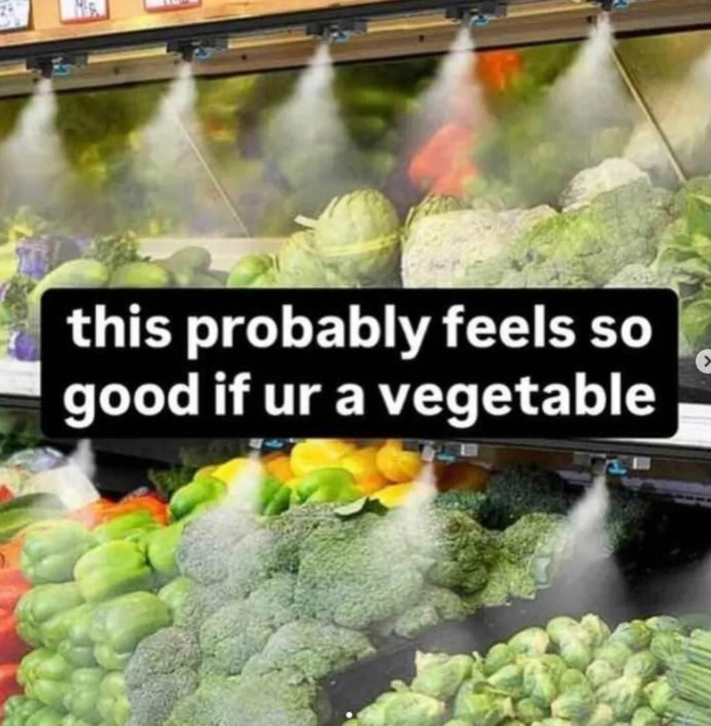 can confirm