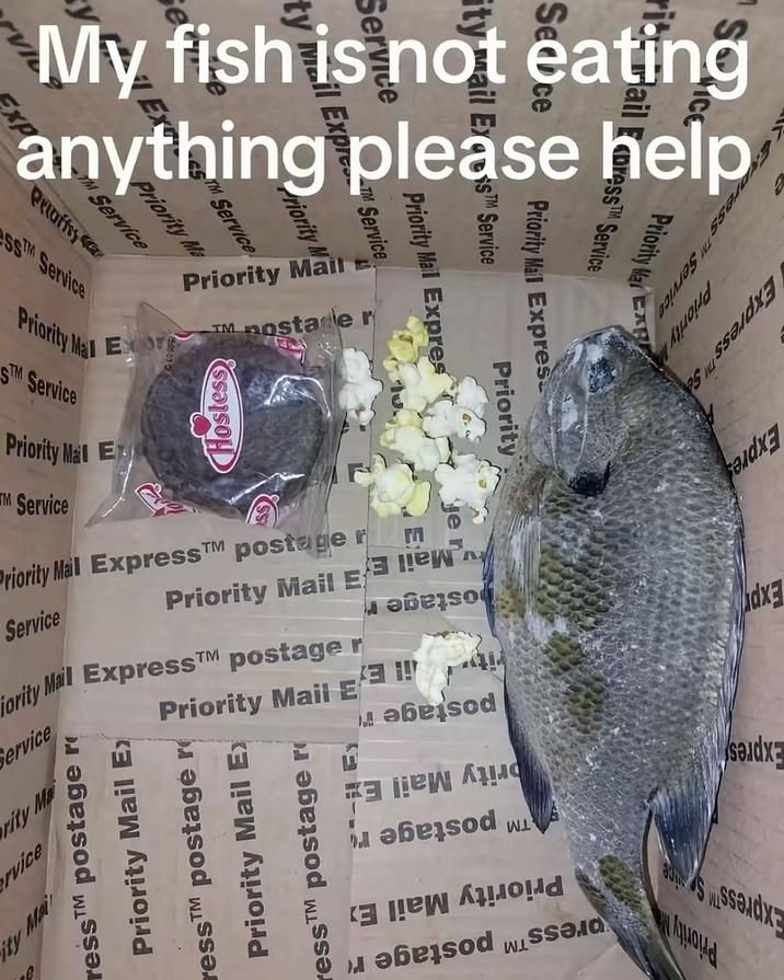 ​​​