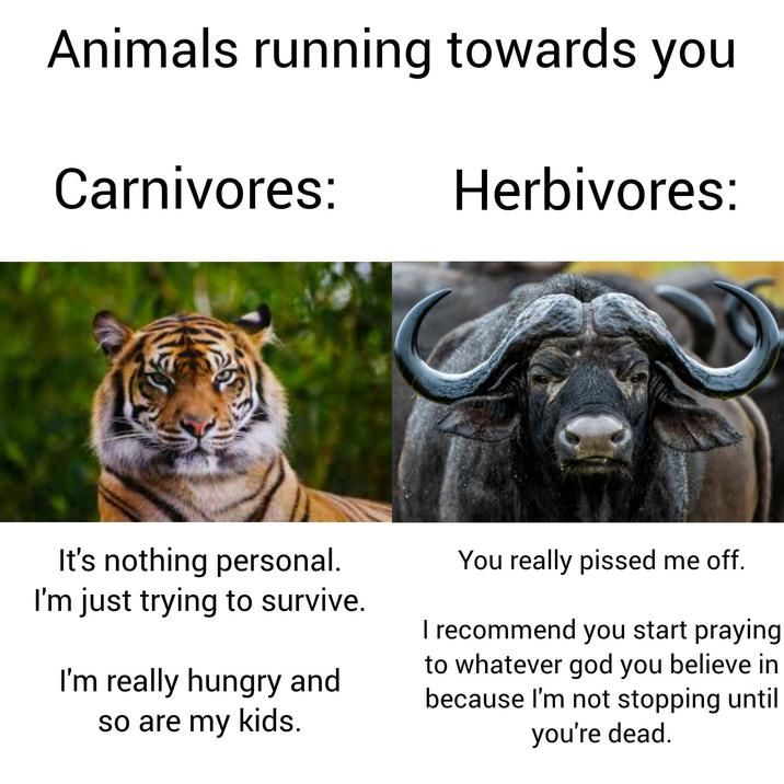 ​​​