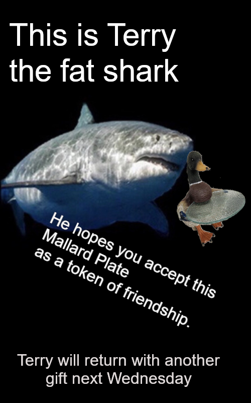 ​​​