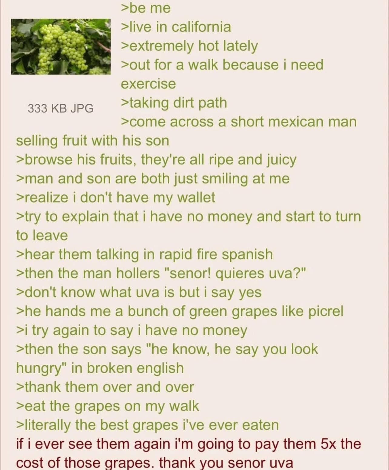 anon meet senor uva