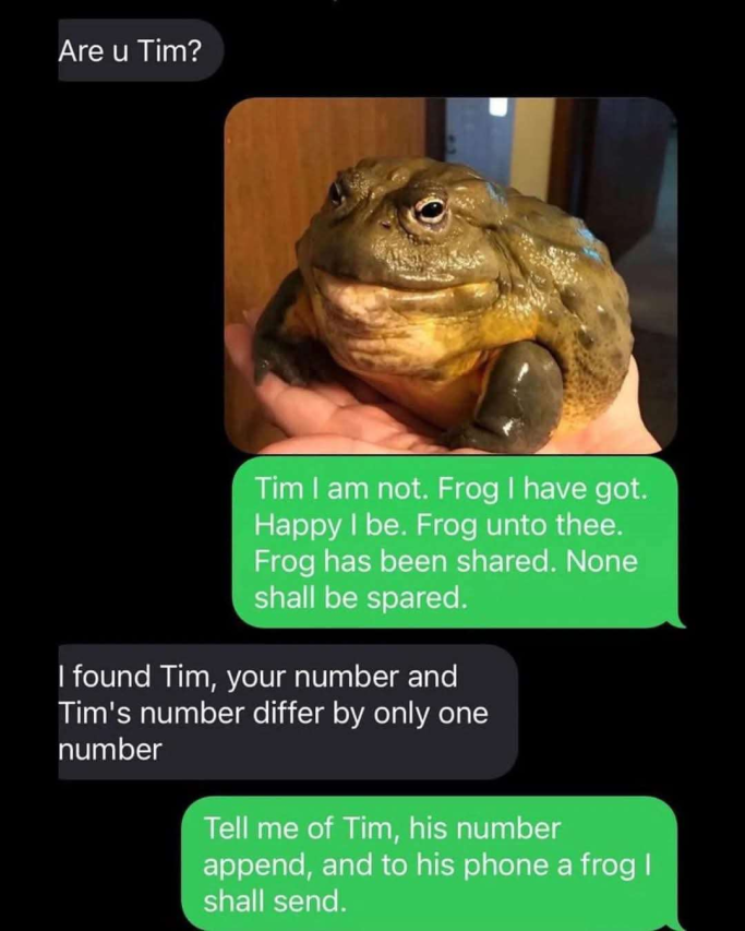 Frog straight from the bog