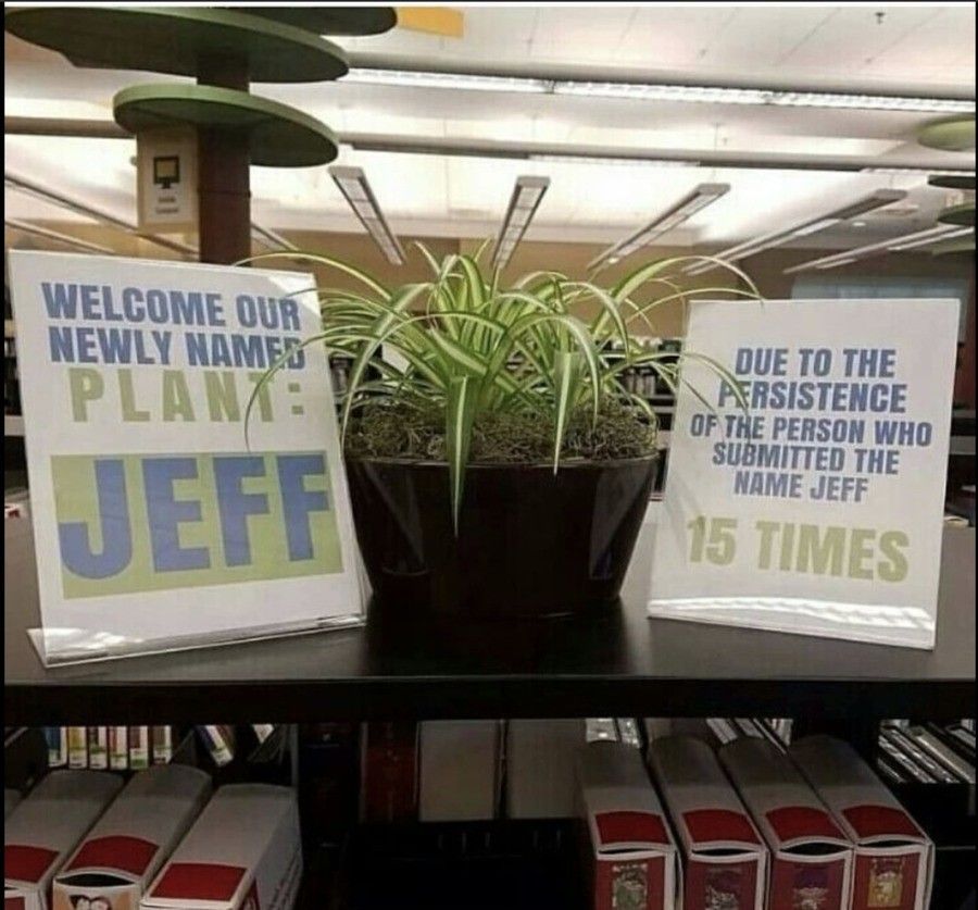 All hail Jeff