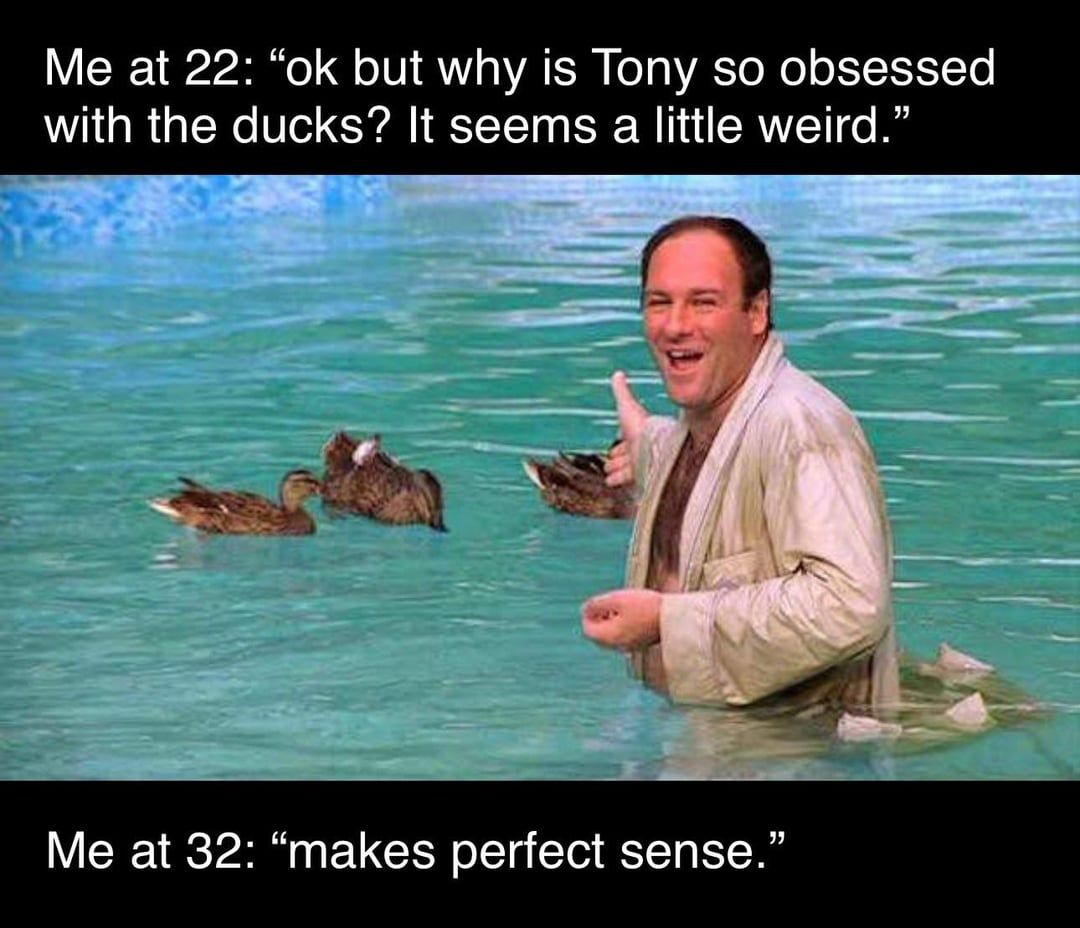 Ducks
