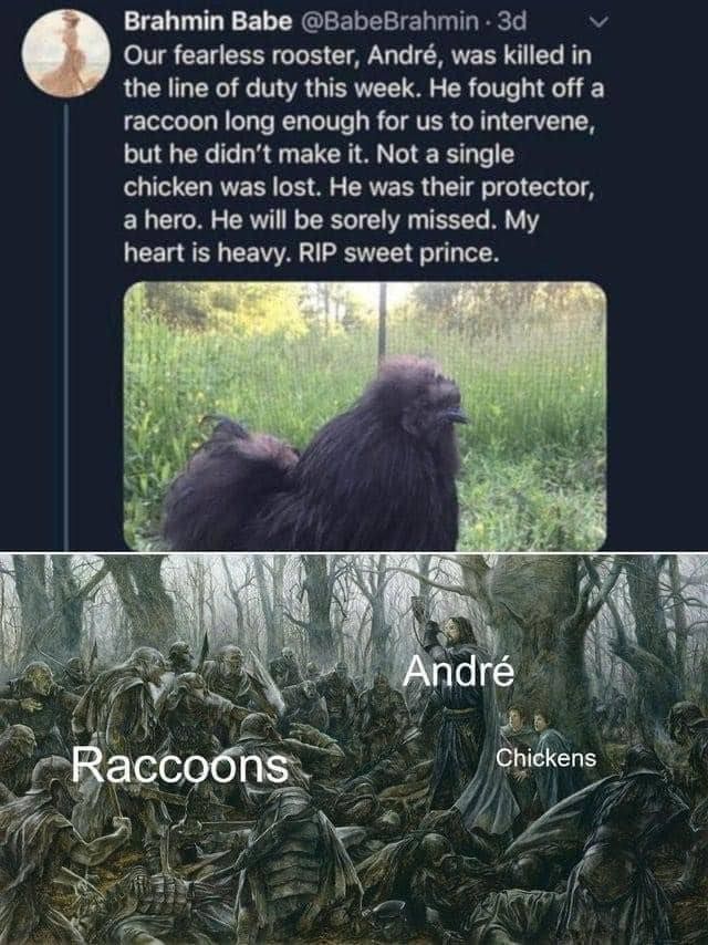 A mighty c0ck