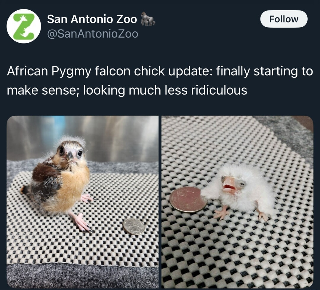 ​​​