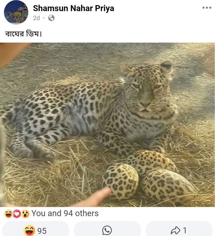 ​​​