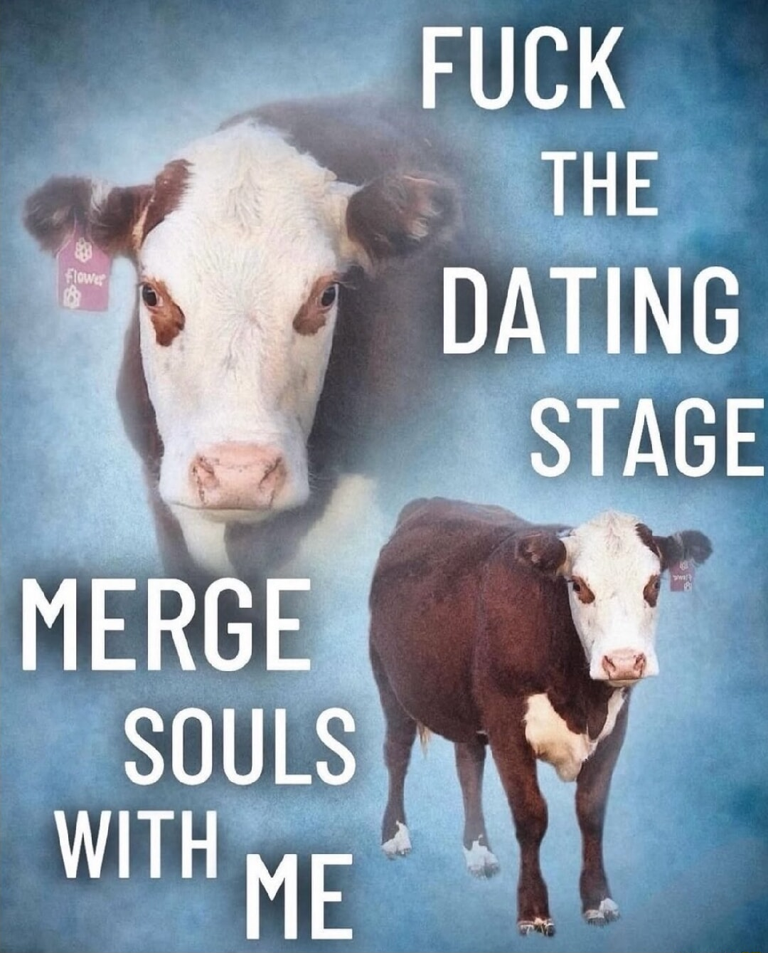 ​​​