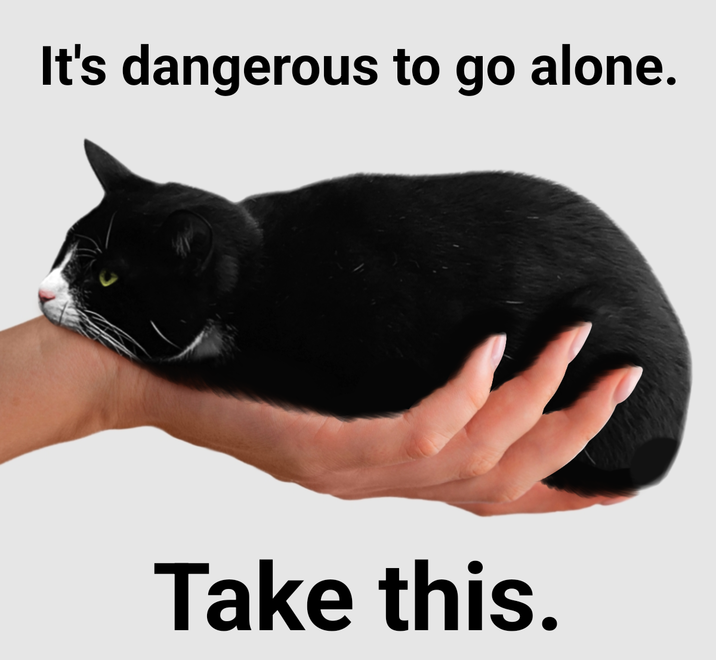 ​​​