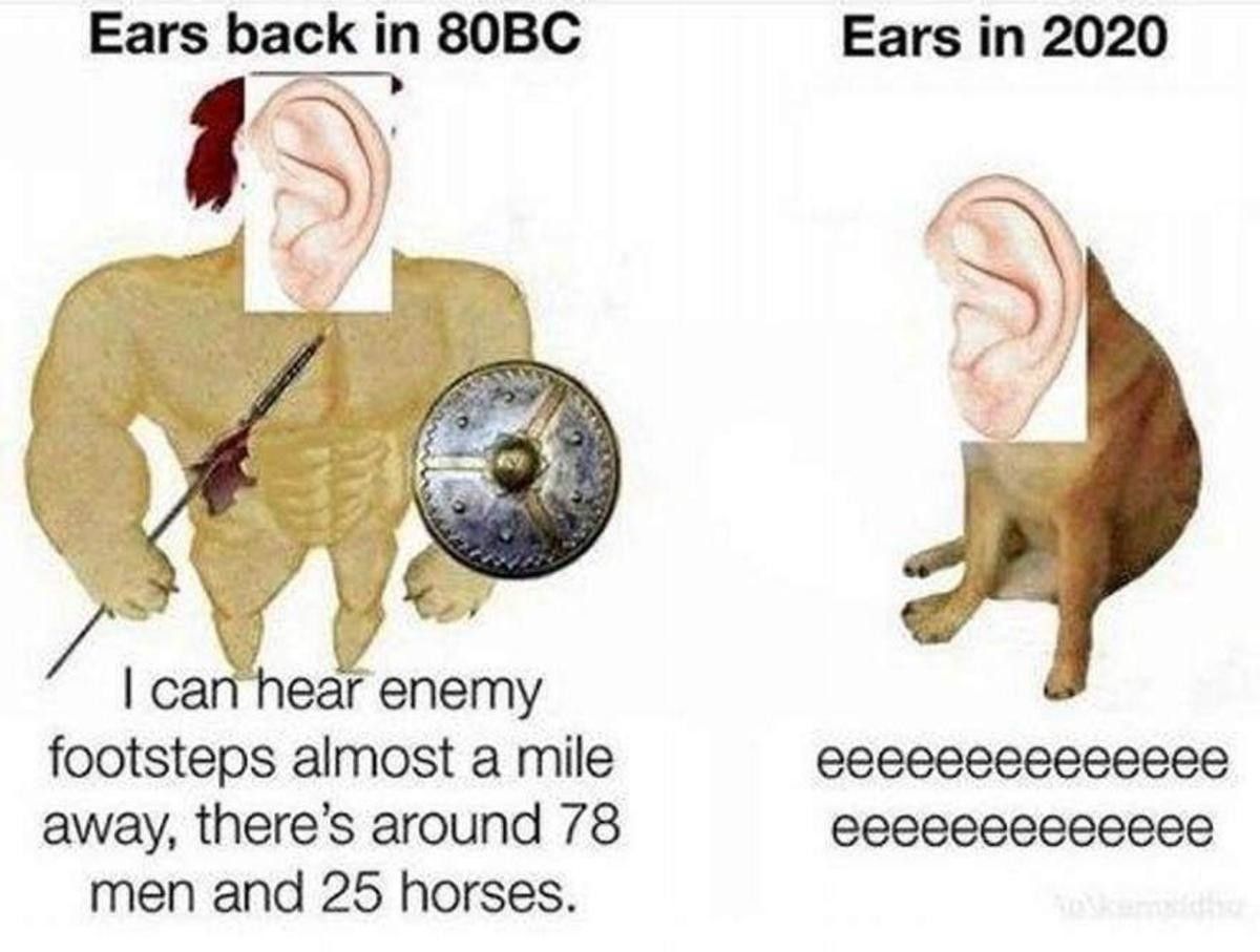 The ear or the hear, which came first?