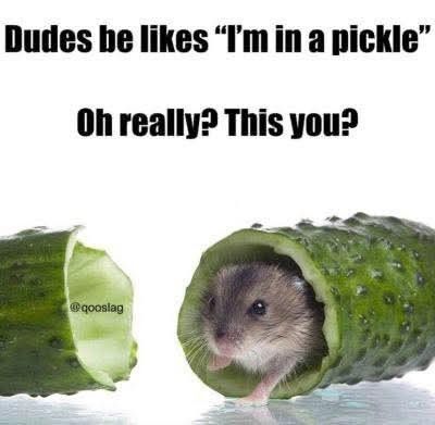 If you think that's funny, wait 'till you hear about Rick