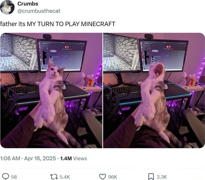 ​​​