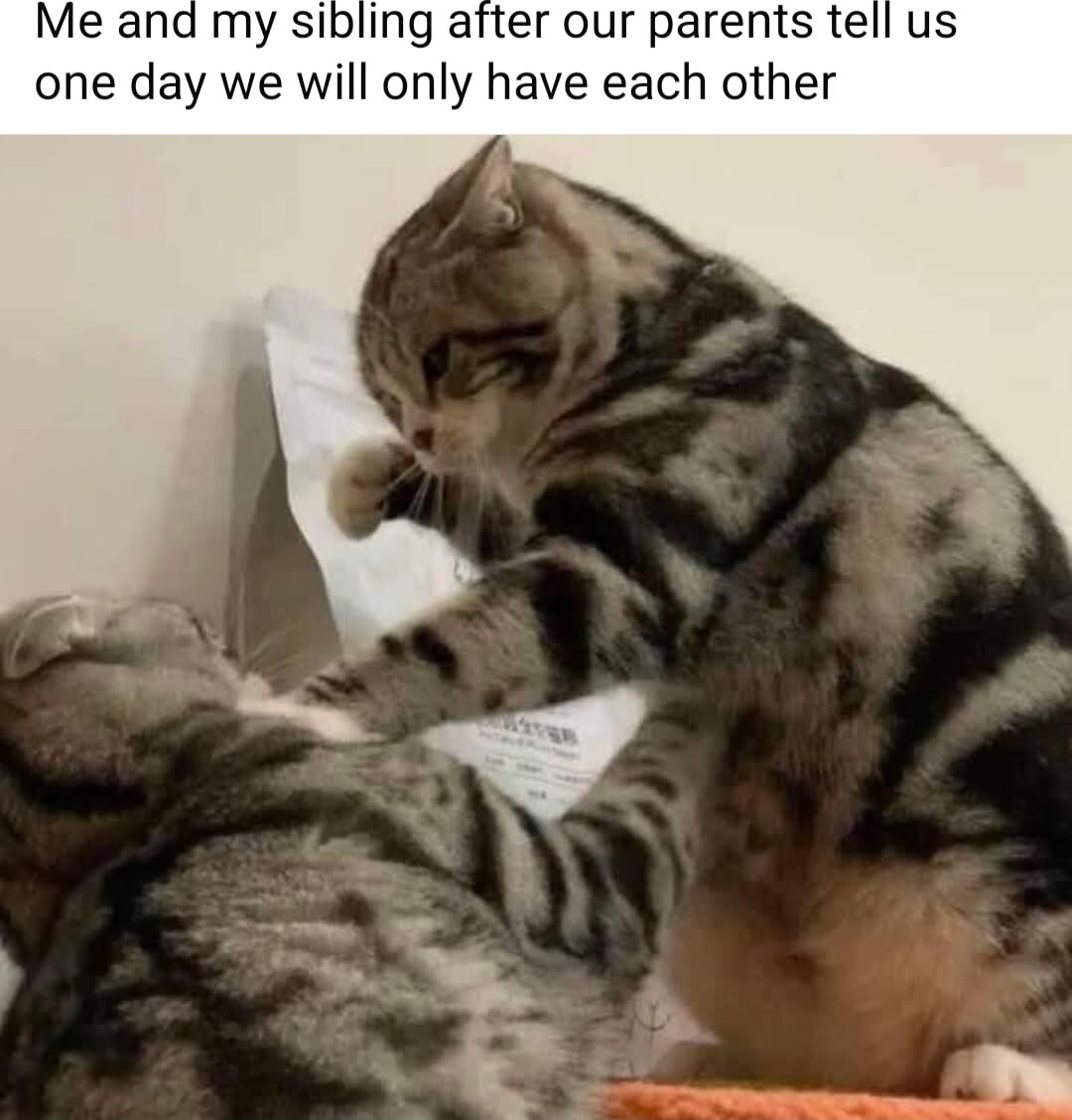 ​​​