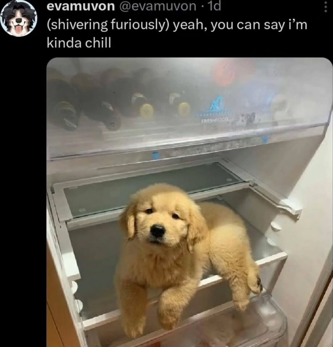 ​​​