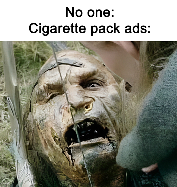 fags in a little box