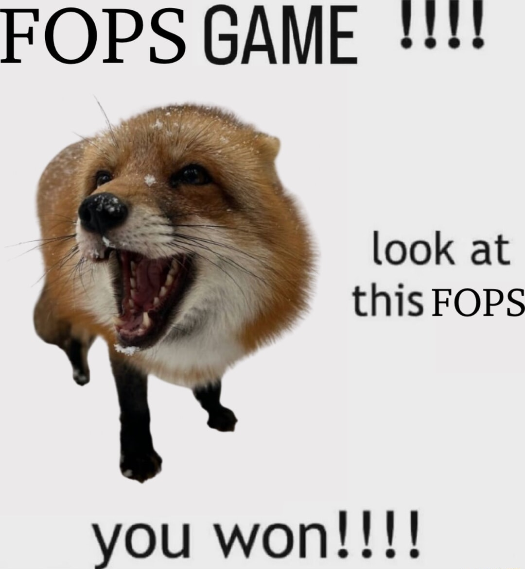 ​​​