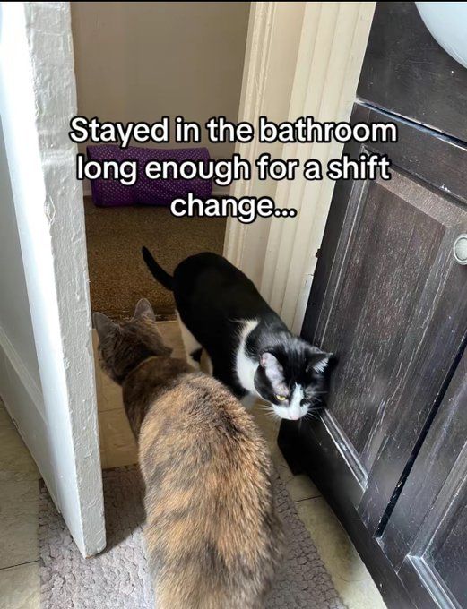 Shift