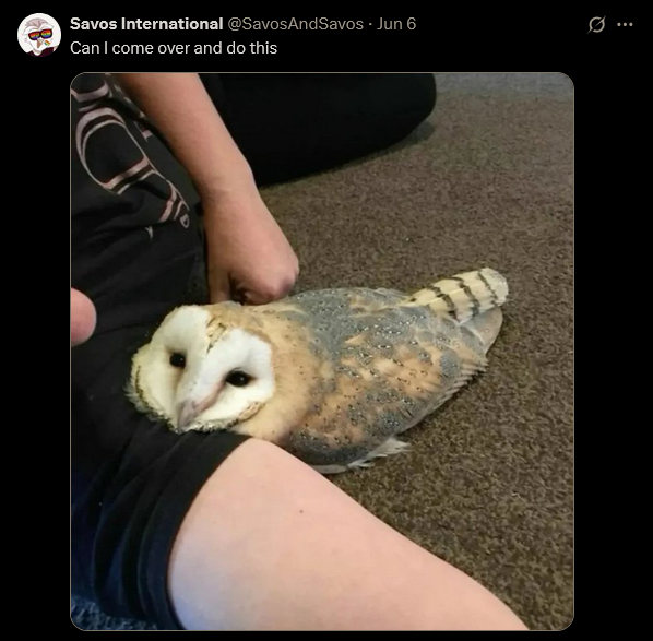 Me and who?