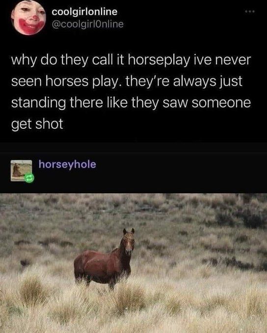 Horseplay