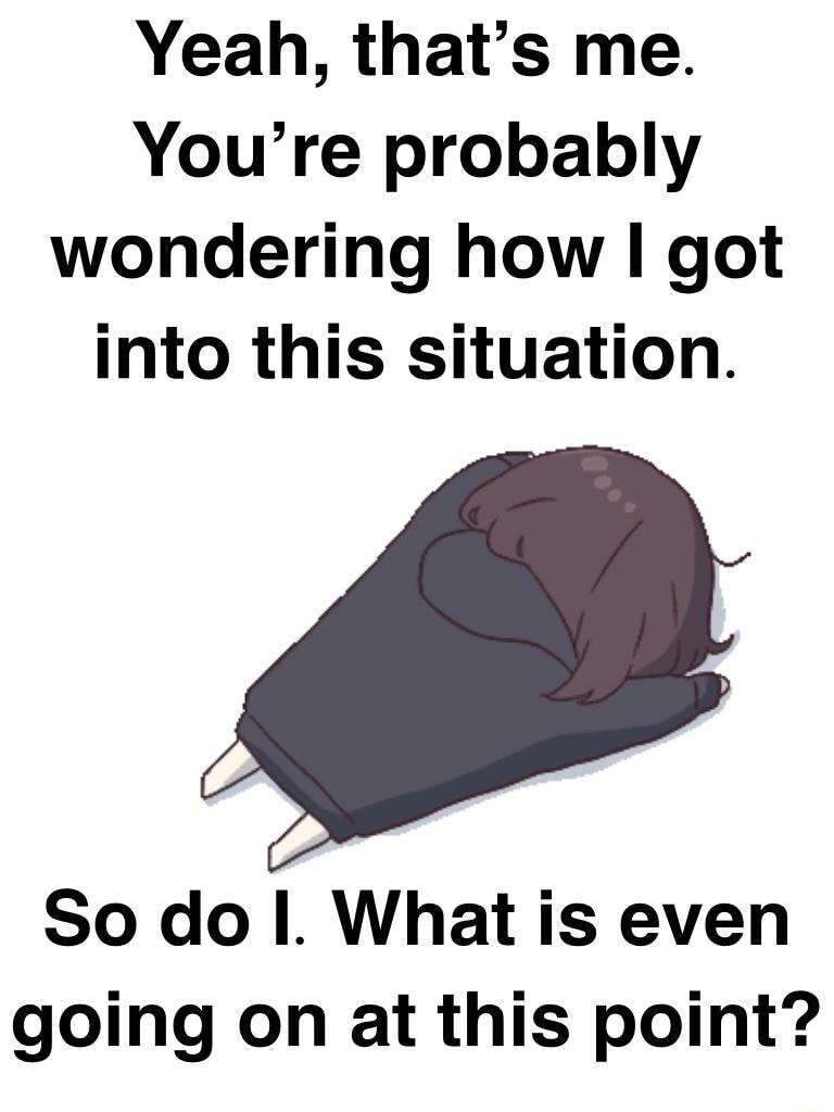 ​​​